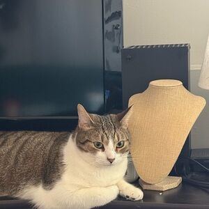 Meet your Posher, Shauna